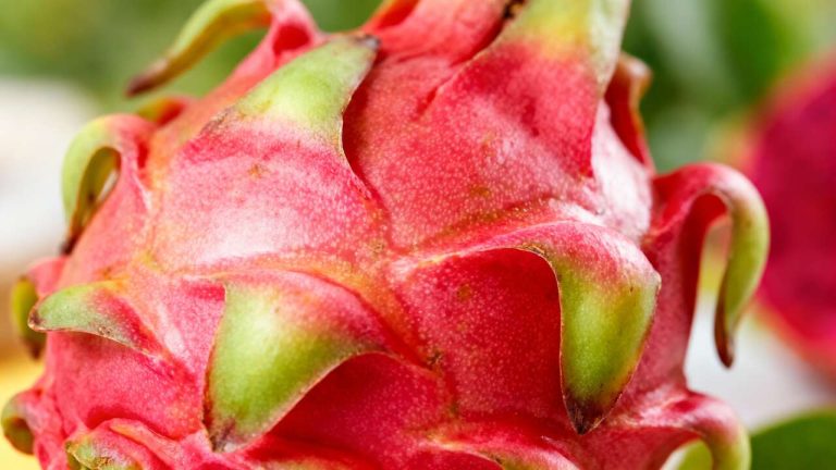 Discover the Exotic Fruit That Naturally Lowers Blood Pressure