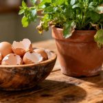 Don’t Throw Away Eggshells — They Work Wonders in the Kitchen and Garden